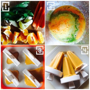 Wellbeing Wednesday - juice ice blocks recipe image