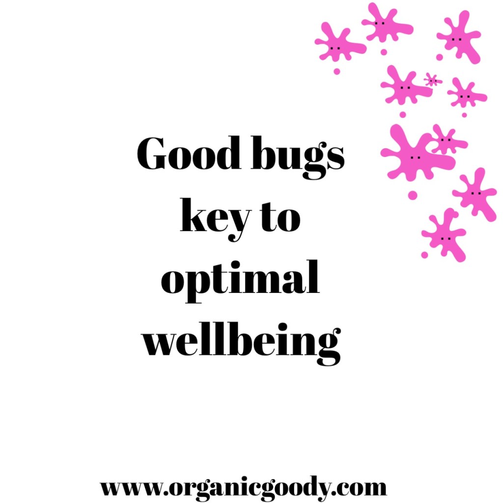 Good bugs key to optimal wellbeing - graphic