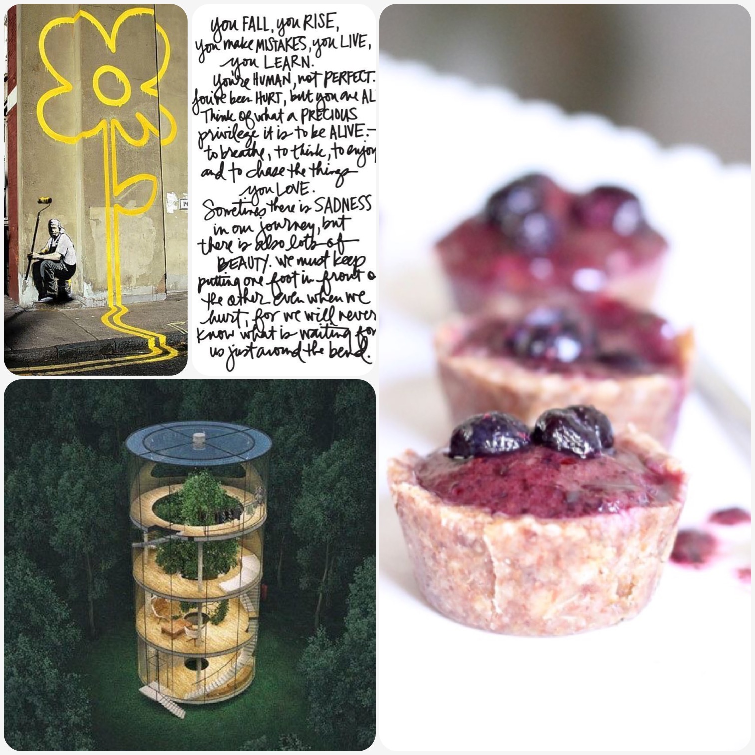 Fab Friday - Banksy flower, you fall you rise quote, epic treehouse/home, raw blueberry cups