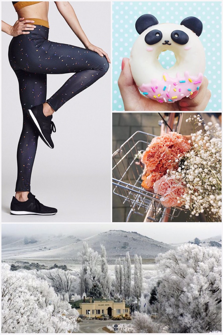 Fab Friday - ethical leggings, panda donut, carnations & gypsophila, Otago New Zealand heavy frost  