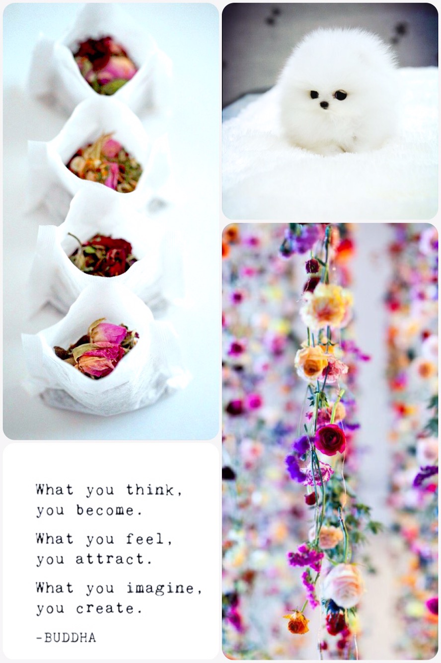 Fab Friday -make your own tea bags, teacup puppy, buddha quote, flower garland curtain decoration 